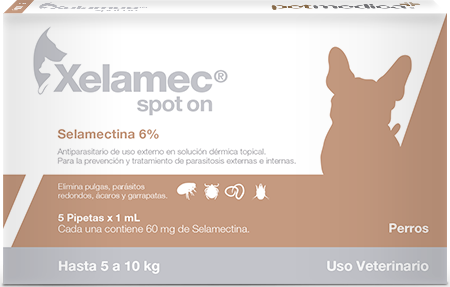 Hasta 5 a 10 kg